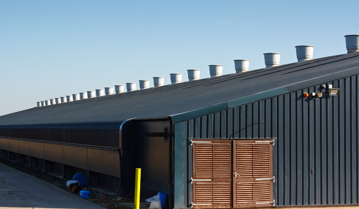 Industrial sheds — example 2